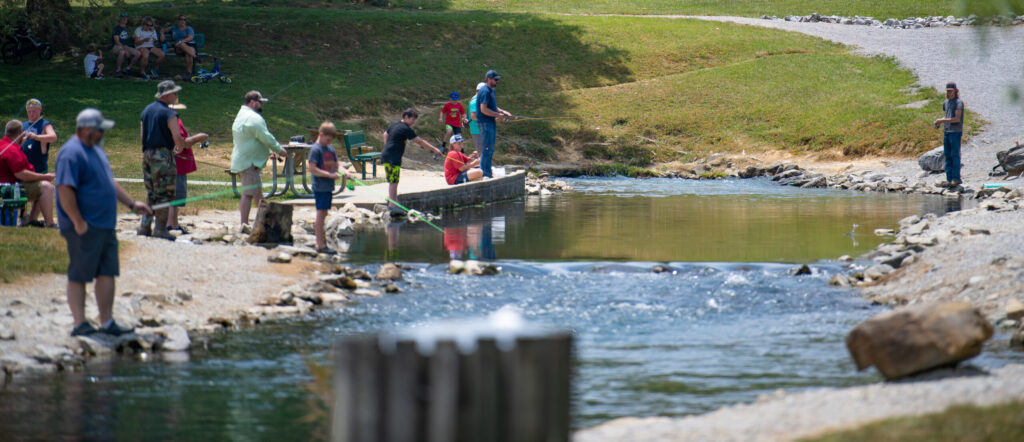 adults and children fishing in a creek